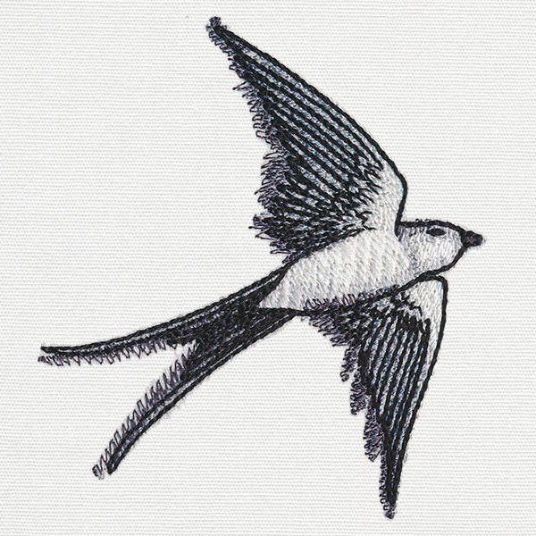 Ink & Wash - Swallow