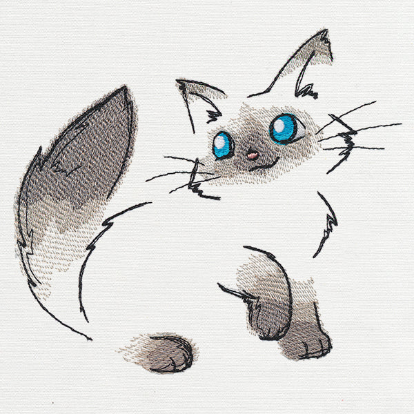 Fluffy Kitty