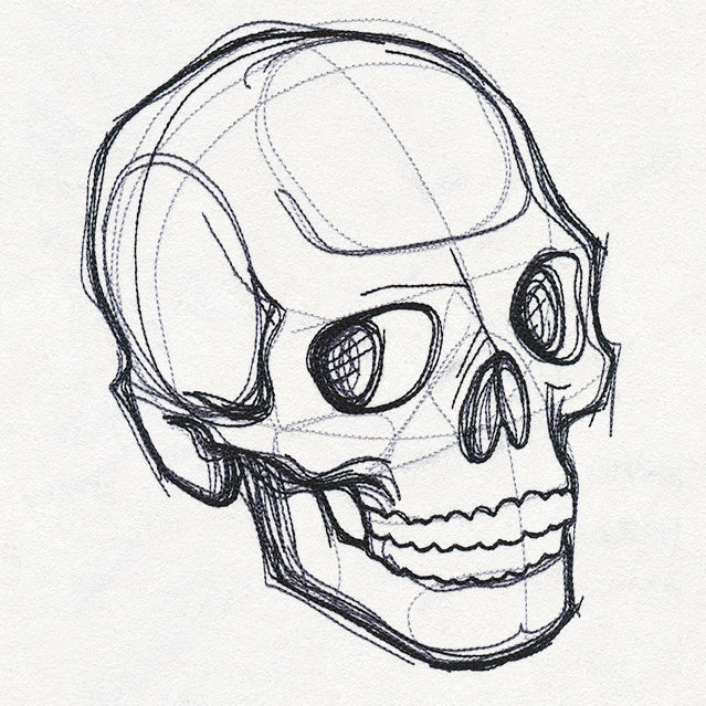 Sketchwork - Skull