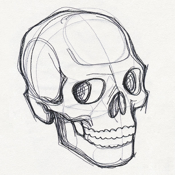 Sketchwork - Skull