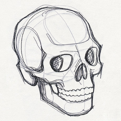 Sketchwork - Skull