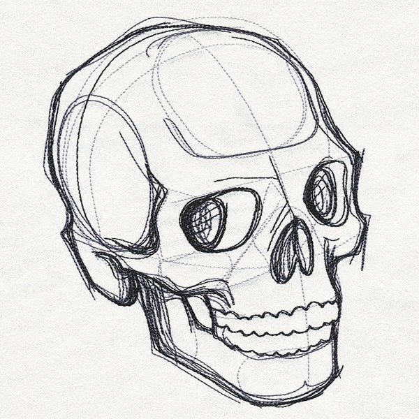 Sketchwork - Skull