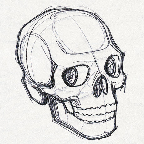 Sketchwork - Skull