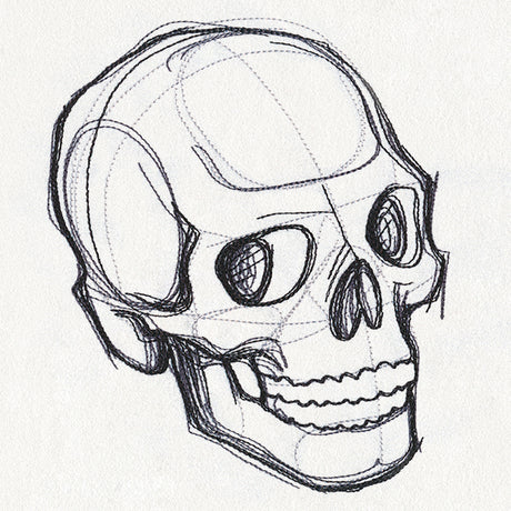 Sketchwork - Skull