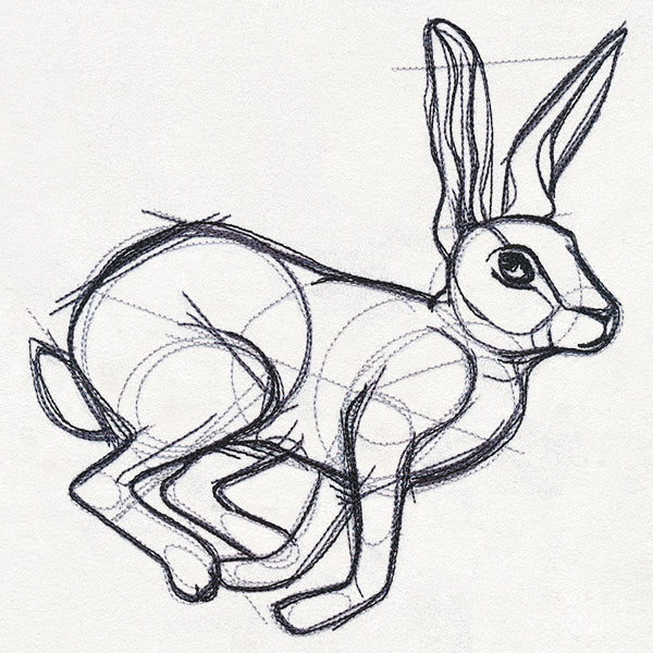 Sketchwork - Hare