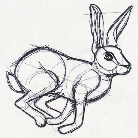Sketchwork - Hare