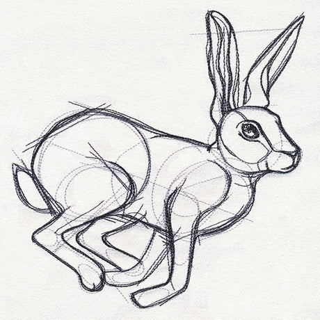Sketchwork - Hare