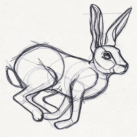 Sketchwork - Hare