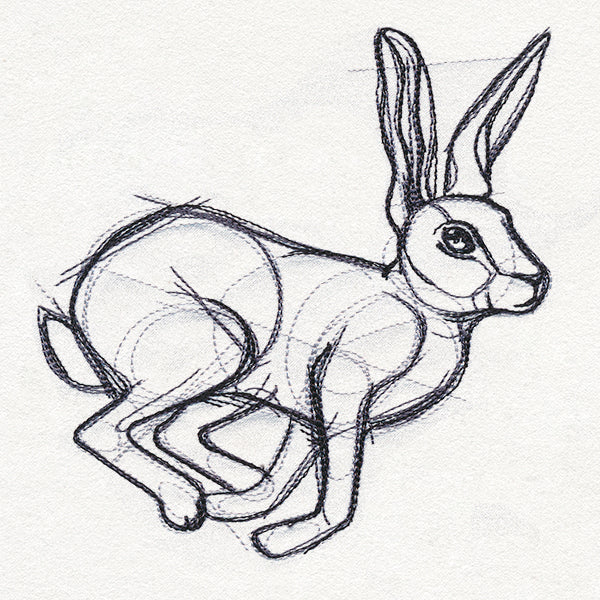 Sketchwork - Hare