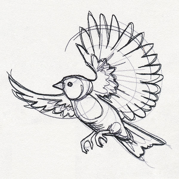 Sketchwork - Bird