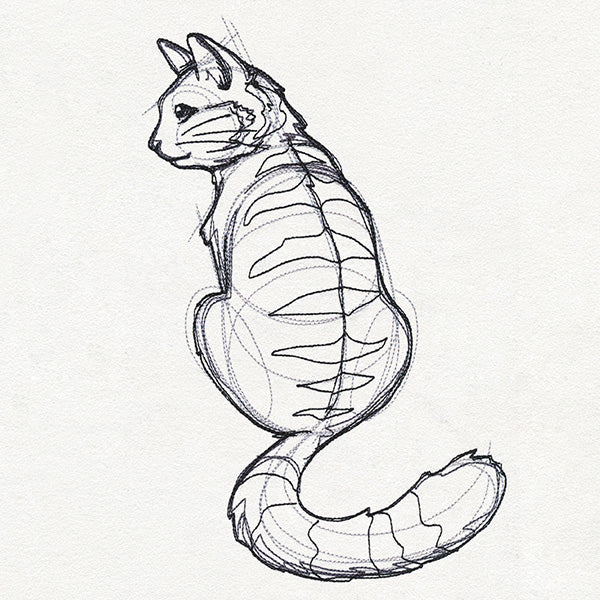 Sketchwork - Cat