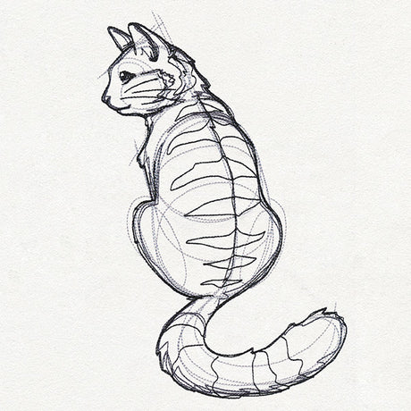Sketchwork - Cat