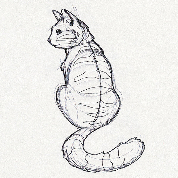 Sketchwork - Cat
