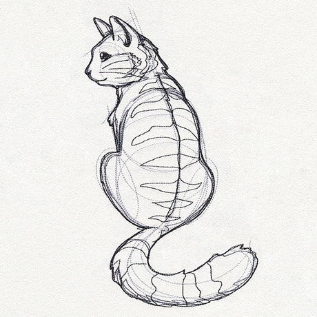 Sketchwork - Cat