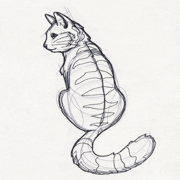 Sketchwork - Cat