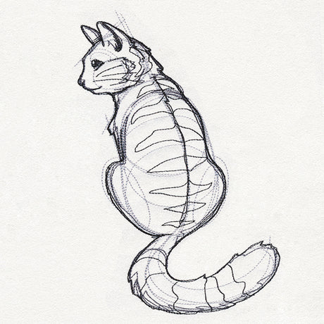Sketchwork - Cat