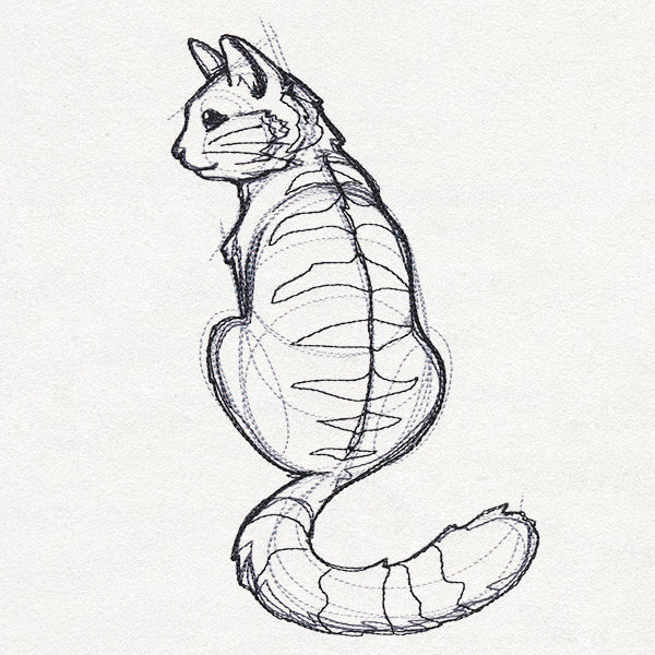 Sketchwork - Cat
