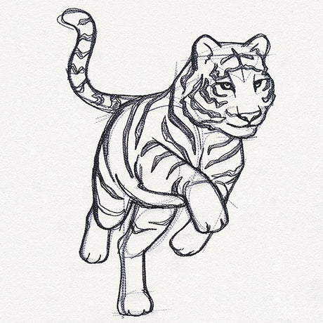 Sketchwork - Tiger