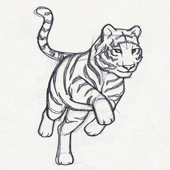 Sketchwork - Tiger