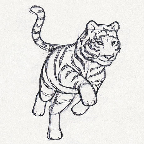 Sketchwork - Tiger
