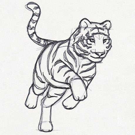Sketchwork - Tiger