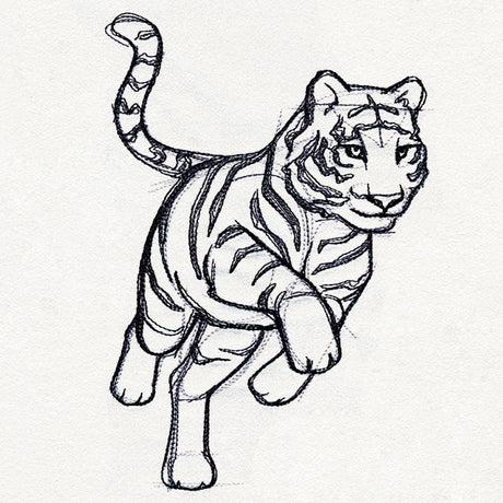 Sketchwork - Tiger