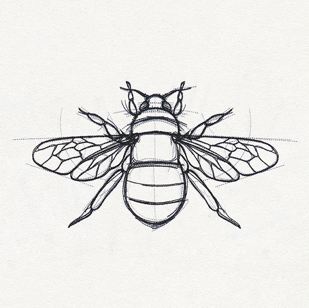 Sketchwork - Bee
