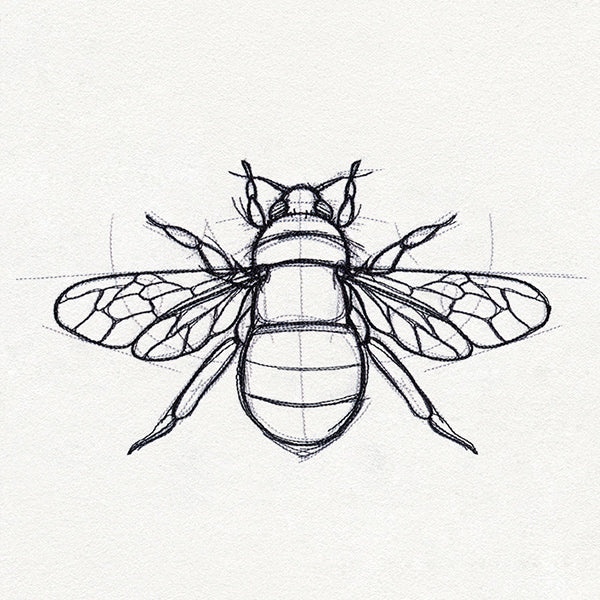 Sketchwork - Bee