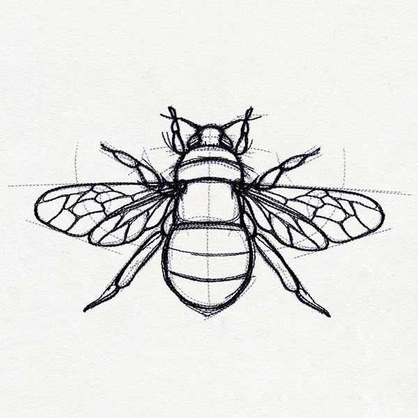 Sketchwork - Bee