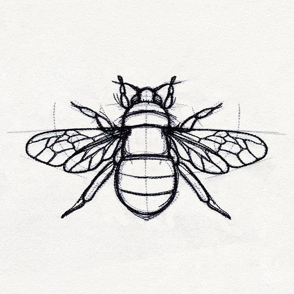 Sketchwork - Bee