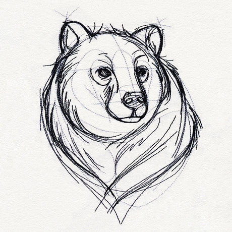 Sketchwork - Bear