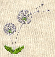 Dandelion Dream
