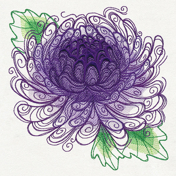 Spring Magic - Chrysanthemum