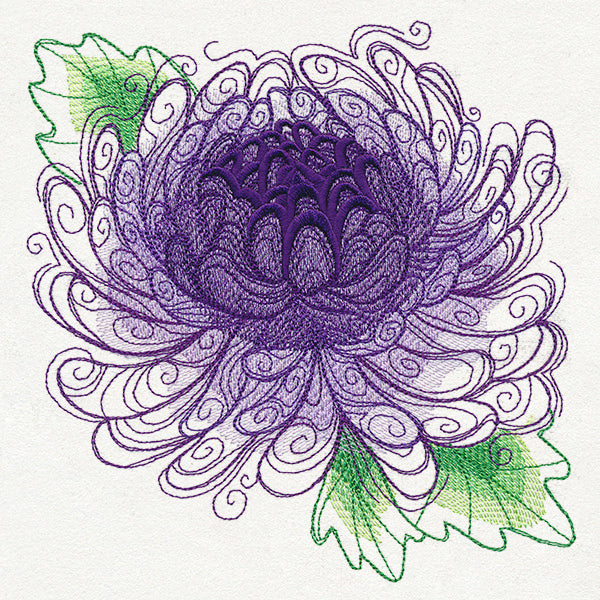 Spring Magic - Chrysanthemum