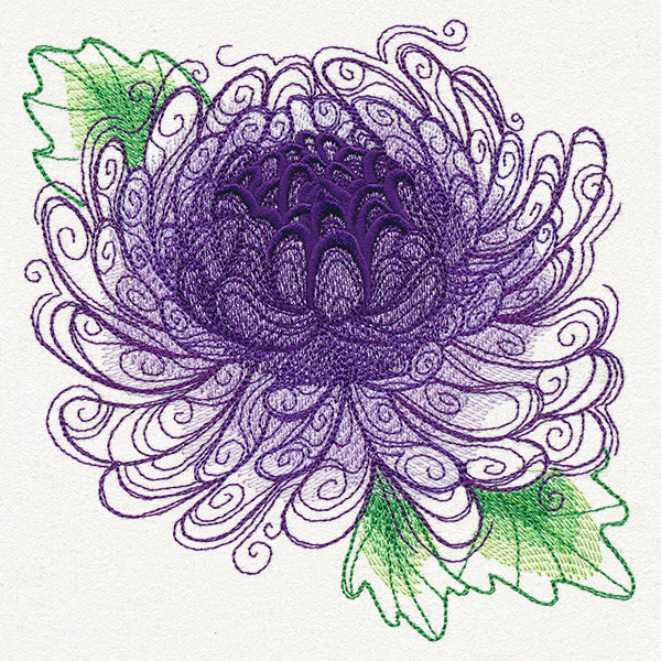 Spring Magic - Chrysanthemum