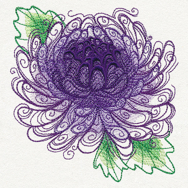 Spring Magic - Chrysanthemum