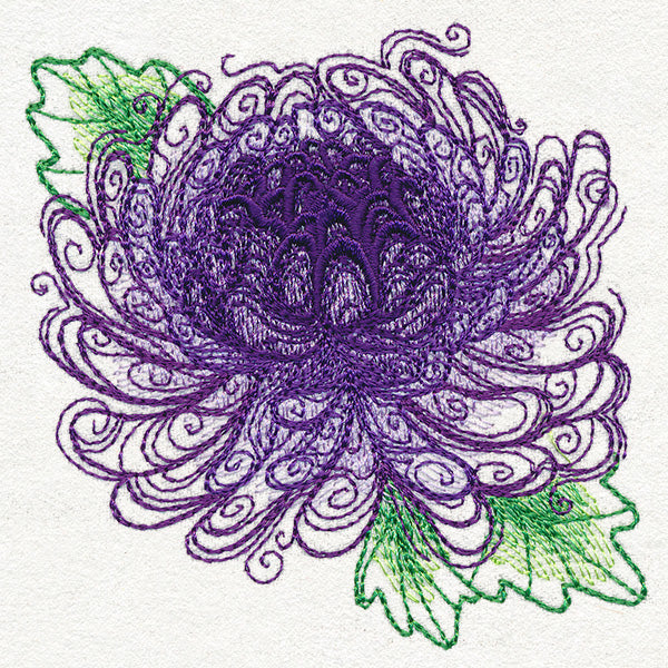 Spring Magic - Chrysanthemum