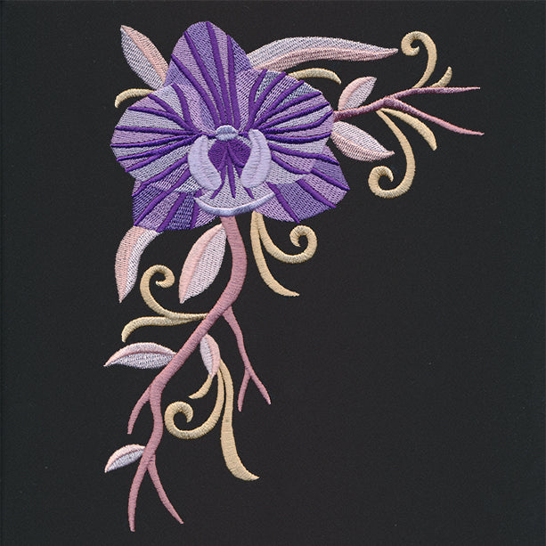 Boutique Blooms - Orchid Corner