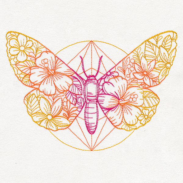 Bohemian Summer - Moth