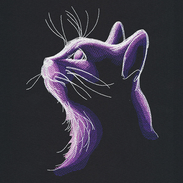 Dark Cat