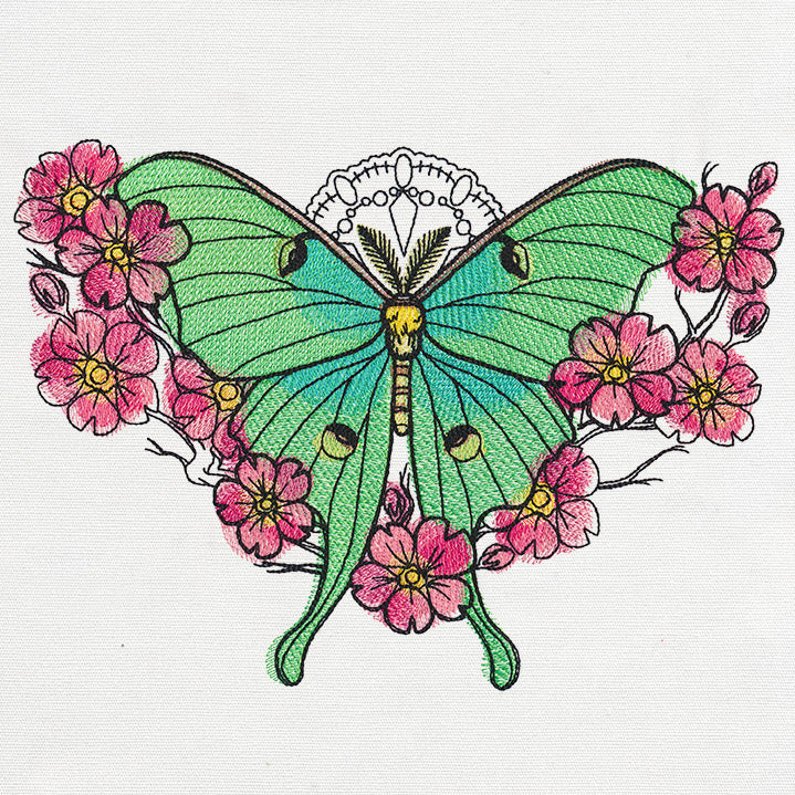 Painted Luna Moth