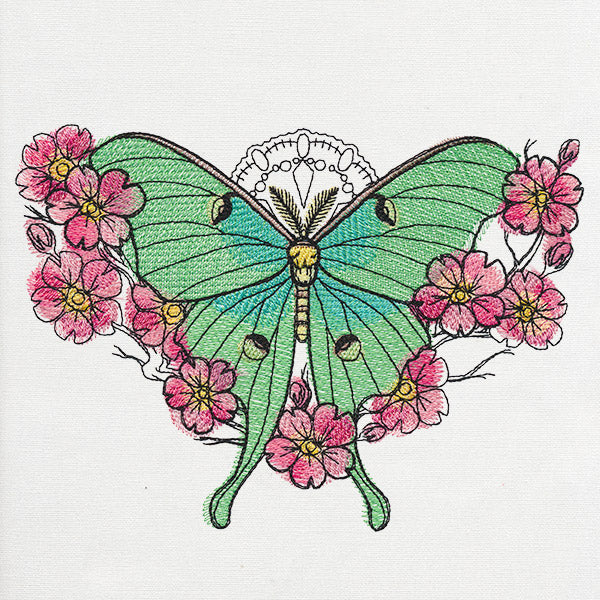 Painted Luna Moth