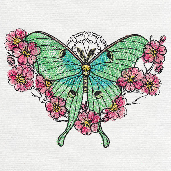 Painted Luna Moth