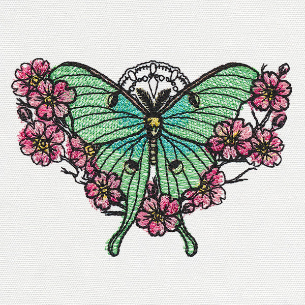 Painted Luna Moth