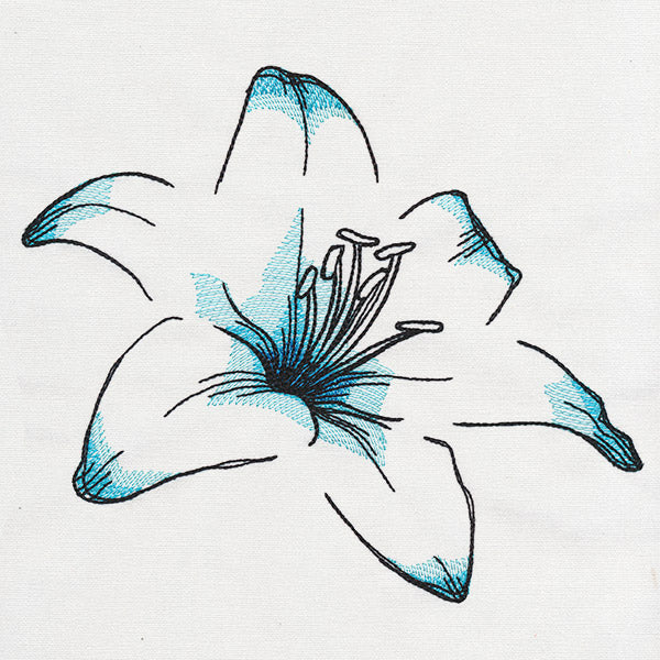 Delicate Petals