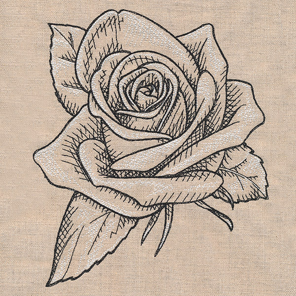 Sketched Rose