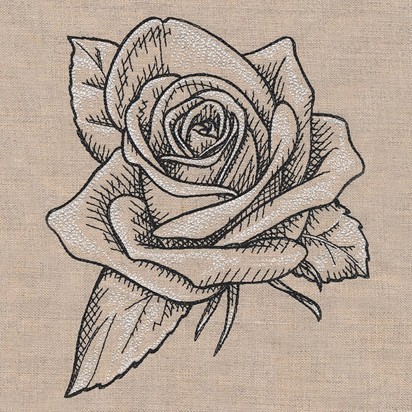 Sketched Rose