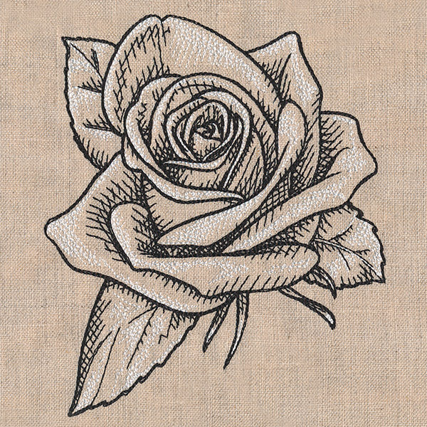 Sketched Rose