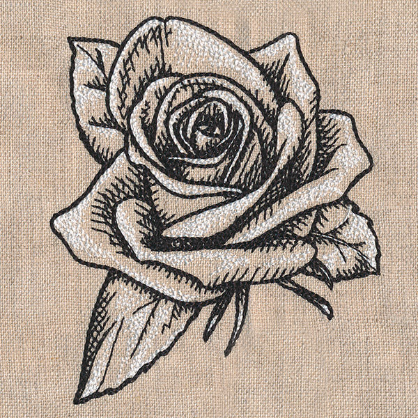 Sketched Rose