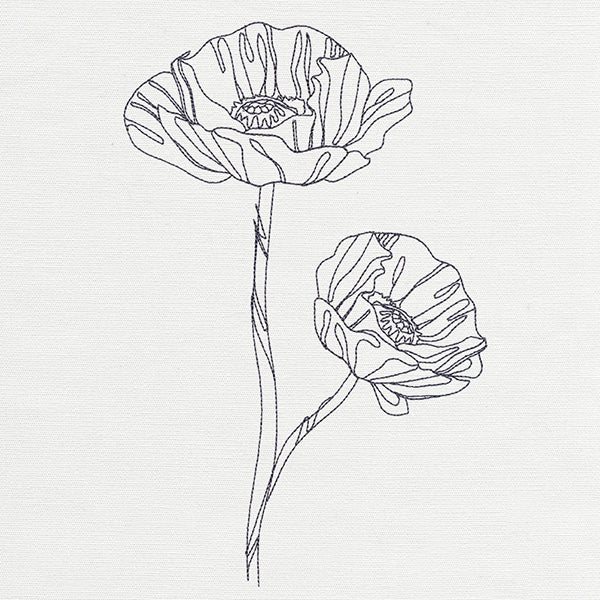 Delicate Poppy
